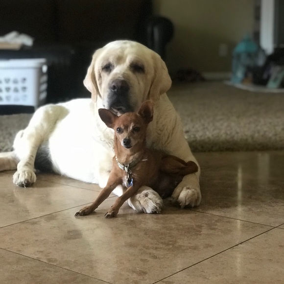 Meet your Posher, Shelly - Picture 1 of 1